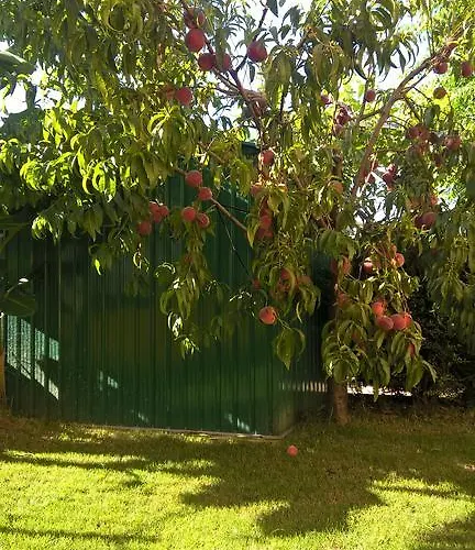 Indipendente Al Piano Seminterrato